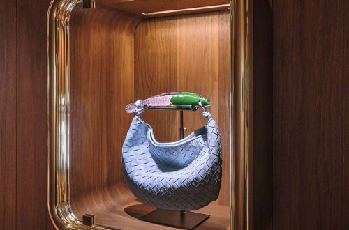 Bottega Veneta Bag