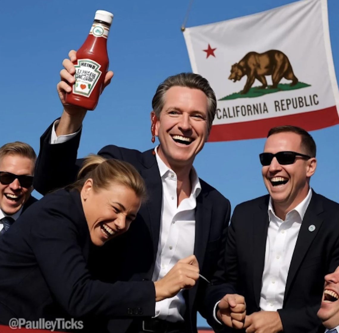Gavin Newsom The Governor Of California